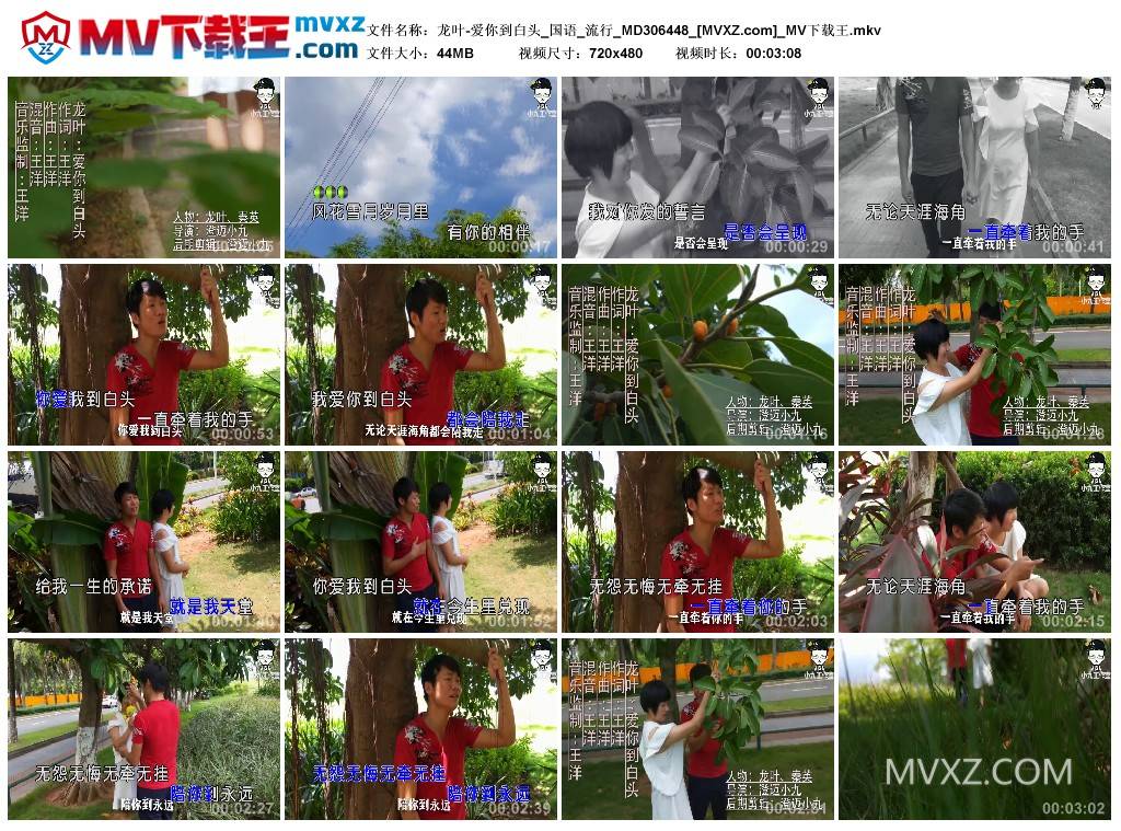 龙叶-爱你到白头_国语_流行_MD306448